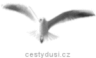 Cesty du��